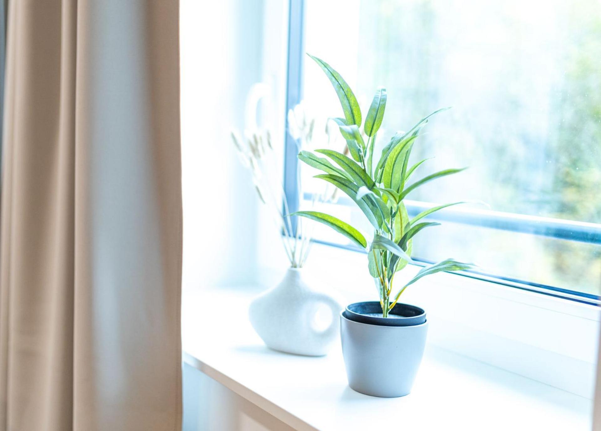 Dwellstay - City Apartments Fulda Zimmer foto
